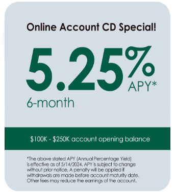online account CD special icon new